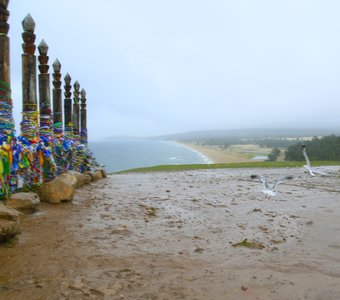 Столбы сэргэ на Ольхоне