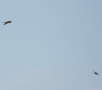 Бить или не бить ?