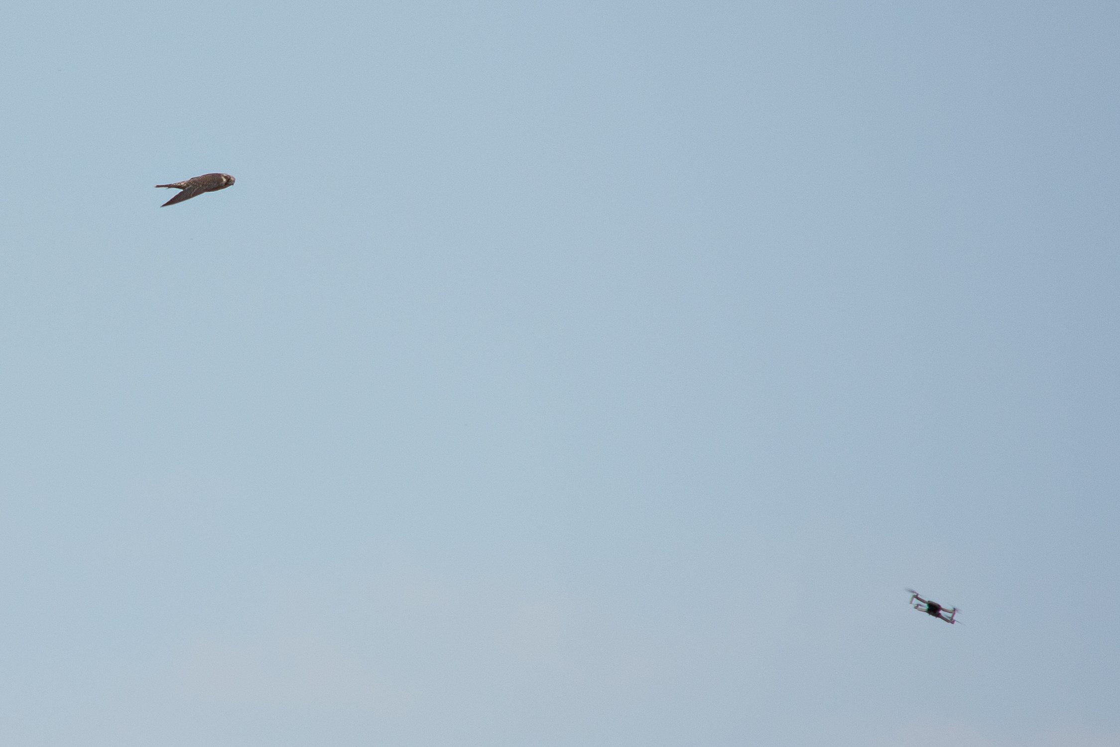 Бить или не бить ?