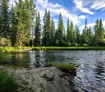 Утром после дожля