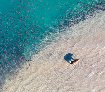 Рыбалка в Раю