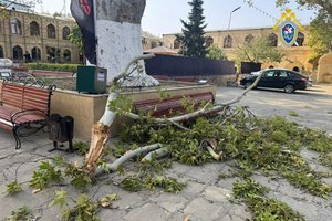 В Дагестане туристка погибла из-за ветки