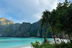 Пара россиян нашла на пляже амбру на 11 миллионов рублей