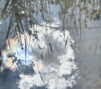 Травы тонут в облаках