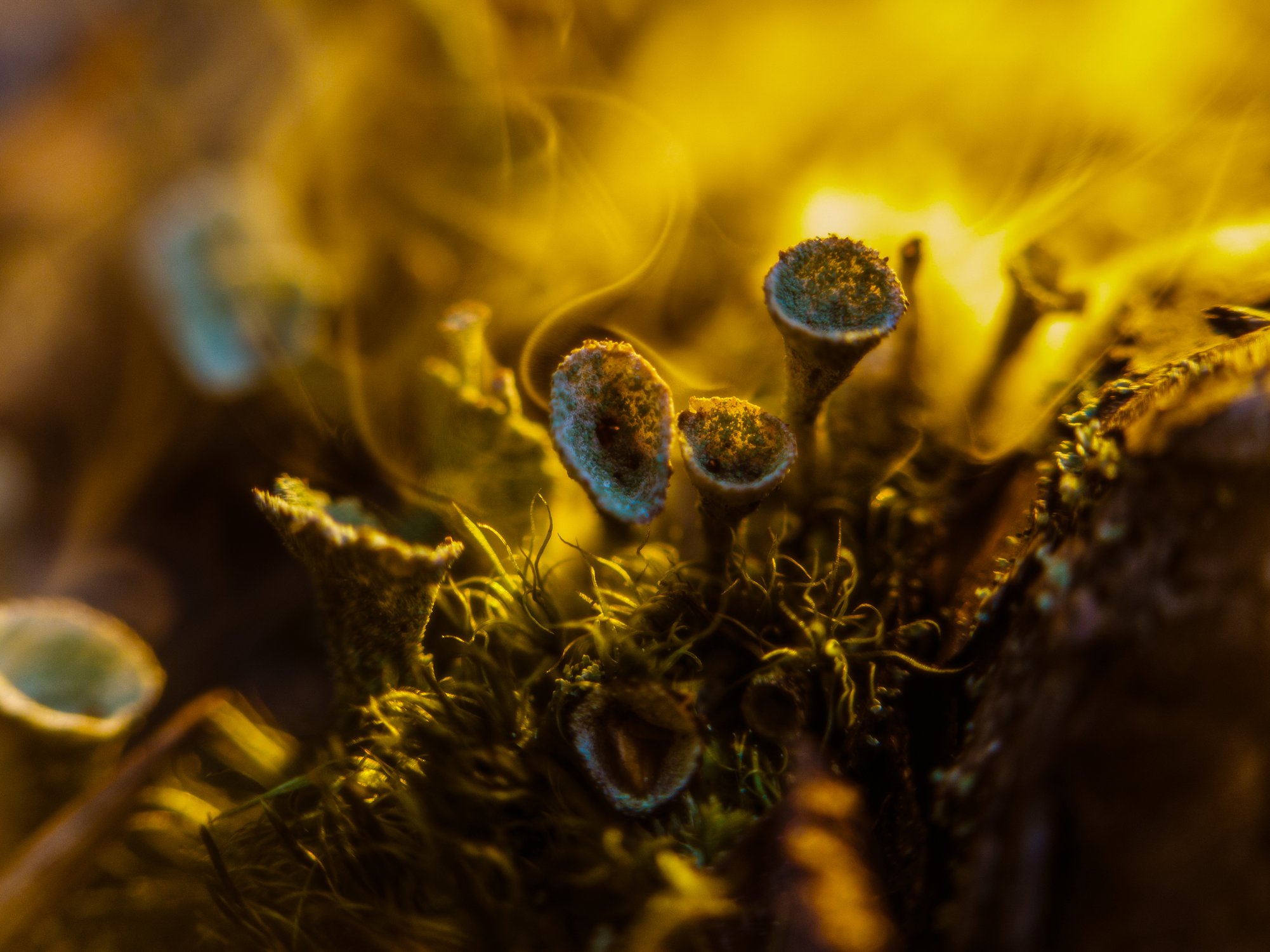 Микроскопическое солнце