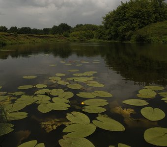Пасмурное утро