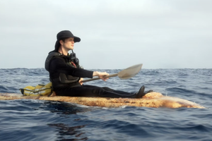 Американец сделал каяк из грибов и проплыл 42 км по Тихому океану