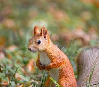 Как уже осень?! Вчера же первое июня было!!!