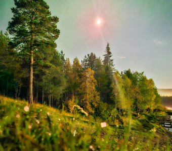 Природа Ковдорского района Мурманской области