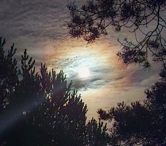 Лунное гало