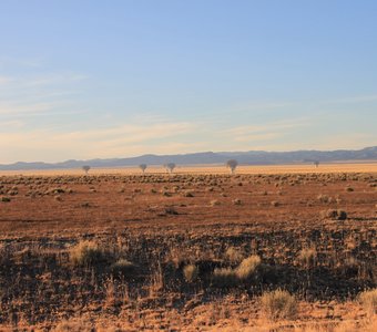 Радиотелескопы в штате Нью-Мексико, США