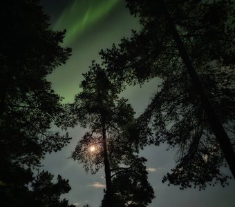 Северное сияние