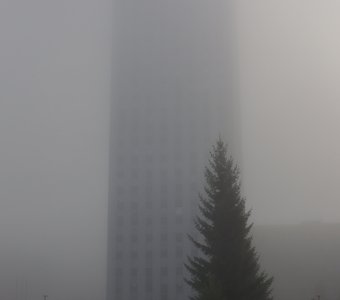 Серия "Туманный Архангельск". Снимок № 3