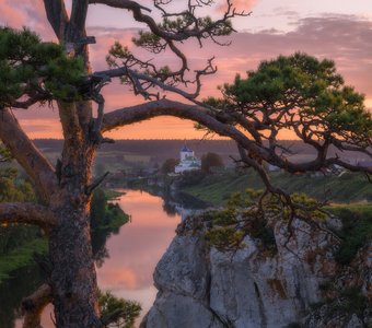 Сквозь ветви уральского бонсая