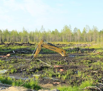 Болота по дороге на Чердынь