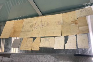 Путешественник попался на таможне с чертежами старинных скрипок