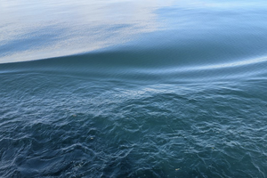 Туризм без вреда: новая экотропа на Байкале