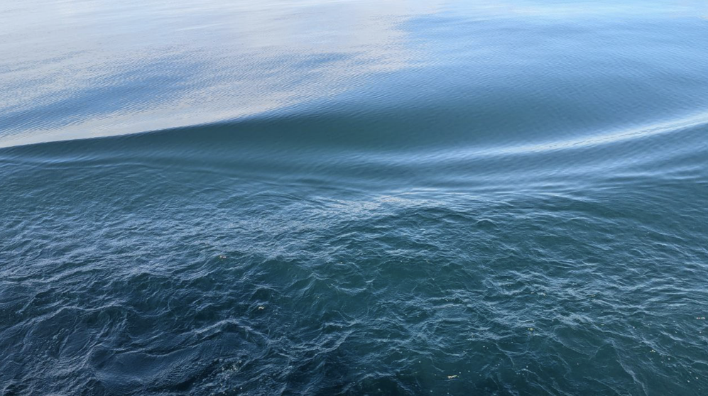 Туризм без вреда: новая экотропа на Байкале