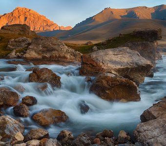 Лето цвета солнца