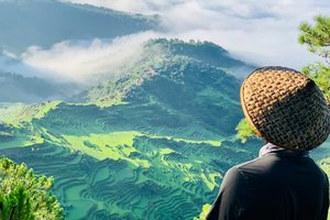 Когда возобновится авиасообщение между Россией и Филиппинами?