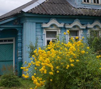 Голубой дом