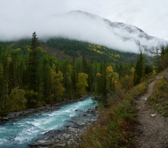 Алтайская осень на берегах Кучерлы