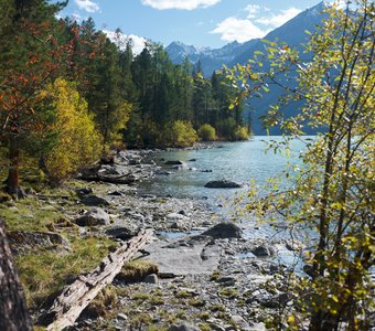 На берегу Кучерлинского озера