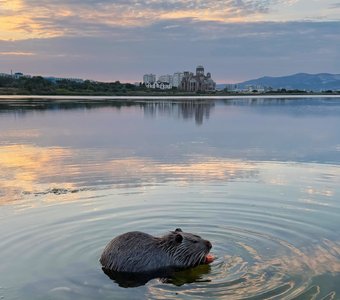 Спокойствие