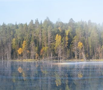 Утренний туман над ламбушкой в Паанаярви