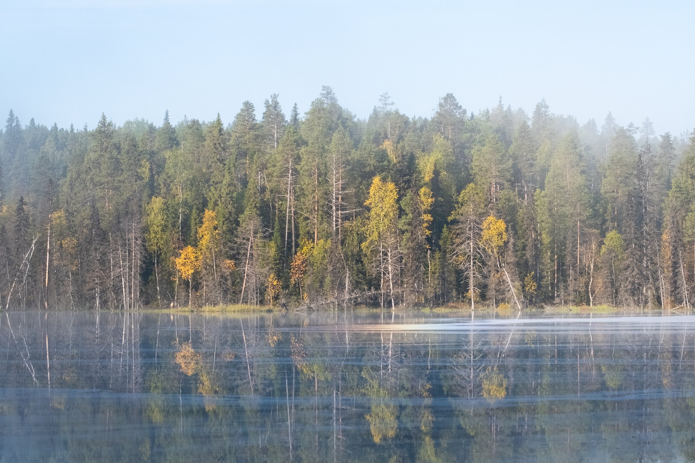 Утренний туман над ламбушкой в Паанаярви