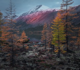 Ранним утром на озере