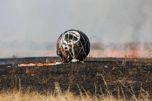 Мыши-космонавты вернулись на Землю после месяца на орбите