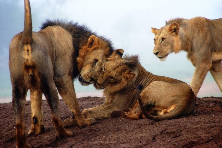 Фото: Сергей Пестерев