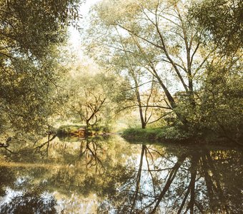 В отражении