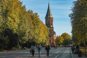 Этим летом многие россияне предпочли Калининград отдыху в Сочи