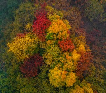 Краски осени.