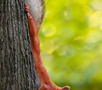 Заготовка на зиму