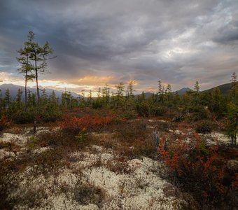 Невесомая вуаль заката