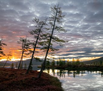 Рассветные грезы