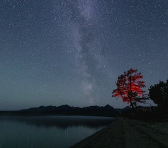 Когда звезды танцуют в воде