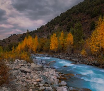 Краски Ала-Арчи