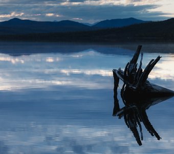 Озерный краб