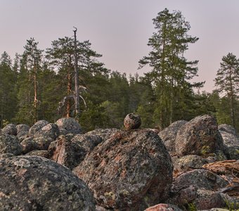 Идеально круглый