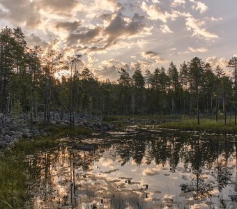 Каменное болото