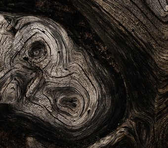 Пробуждение лесного духа