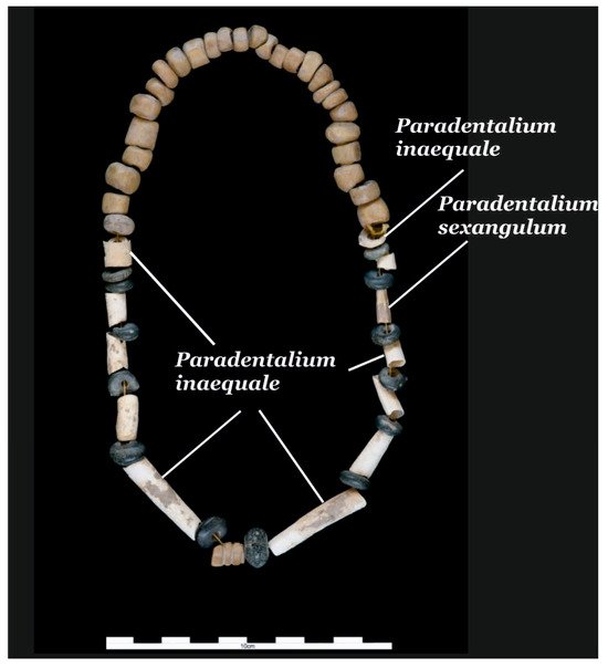 Фото: Verónica Schulmeister Guillén, Quaternary, 2025