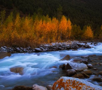 Осенний сон