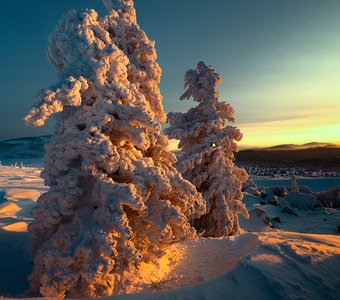 Ёлочные игрушки