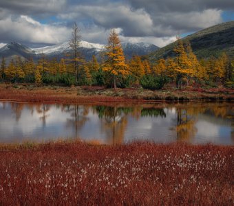 Окрестности Юга