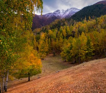 Палитра сентября